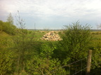 2012 04 28 Bustour des Backhaus Vereins ins Wendland 015